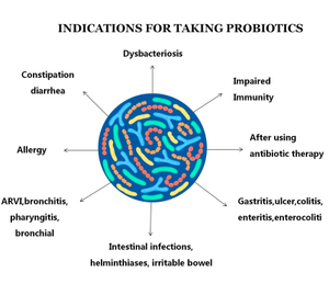 Probiotika Lebensmittelqualität Probiotische Pulver-Bulk-Lebensmittel Lactobacillus Probiotika Pulver Bifidobacterium lactis